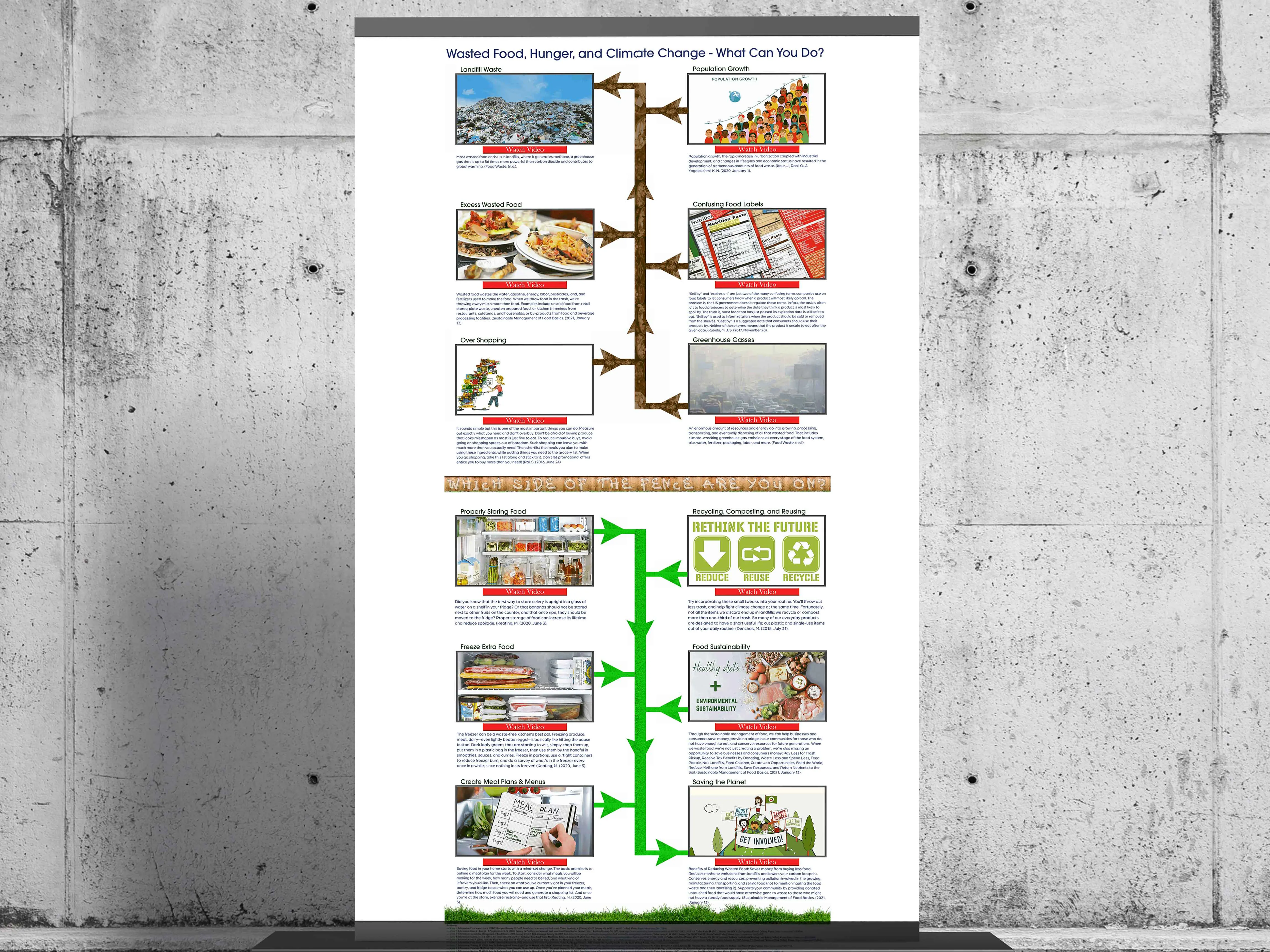 Animated Infographics